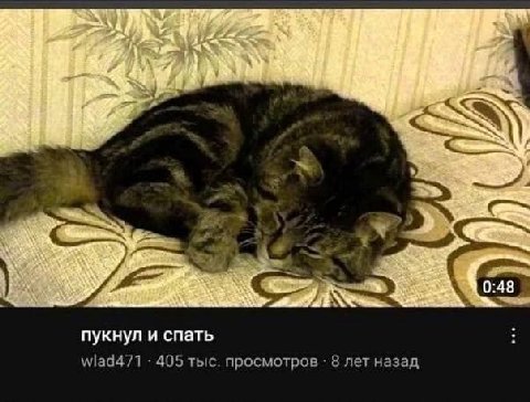 0:4 пукнул и спать wlad471 405 тыс. просмотров 8 лет назад