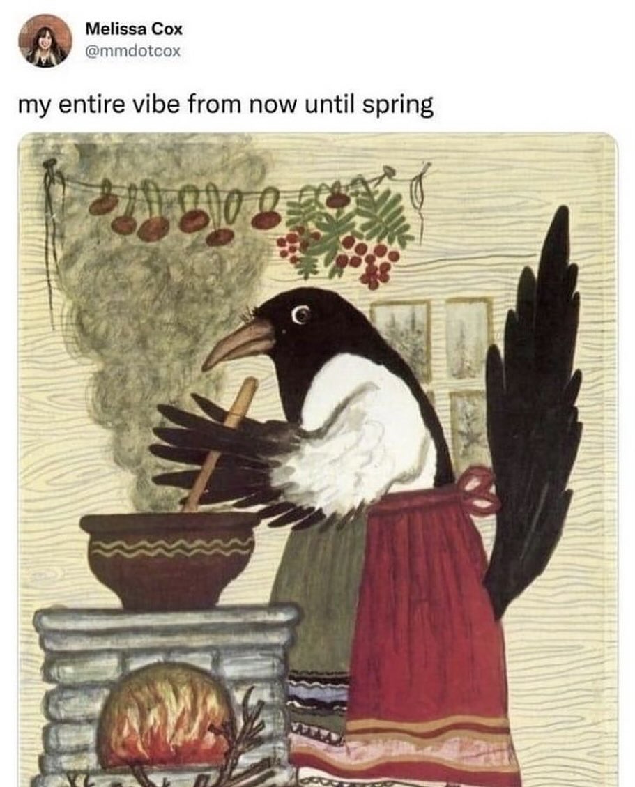 Melissa Cox @mmdotcox my entire vibe from now until spring "ЕЕ с у