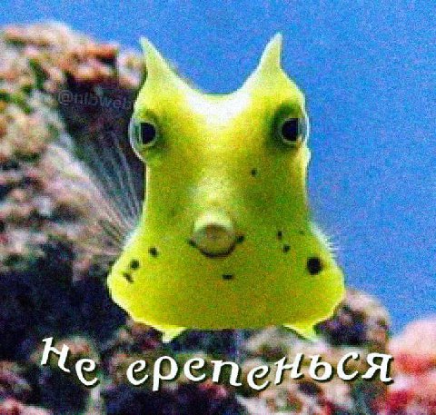 epen