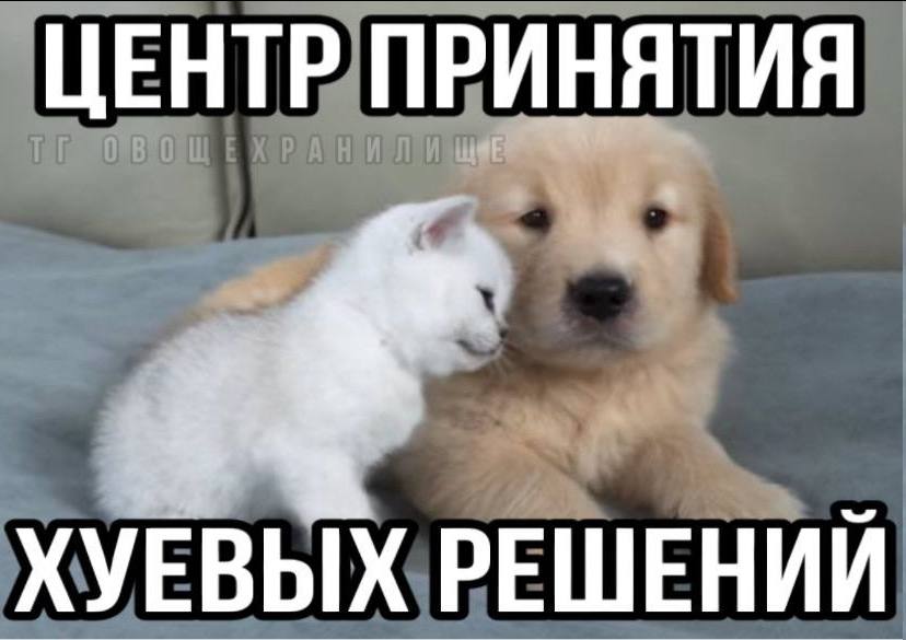 ЦЕНТР ПРИНЯТИЯ ХУЕВЫХ РЕШЕНИЙ