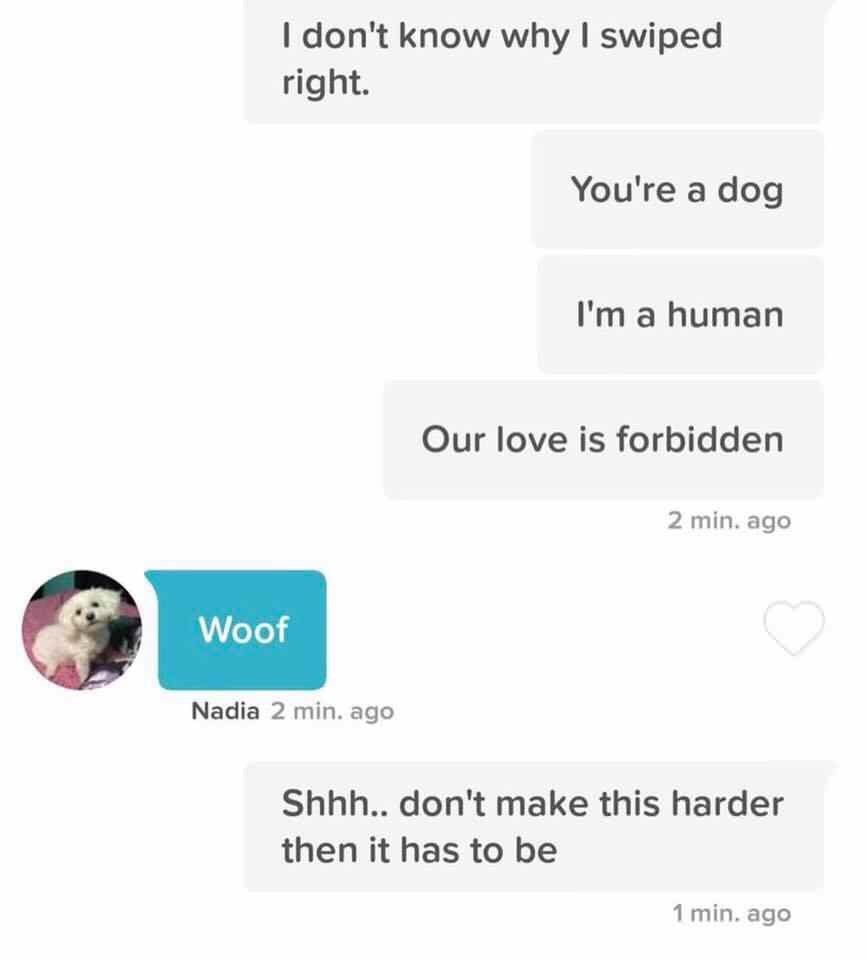 don't know why swiped right. You're a dog a human Our love is forbidden 2 min. ago Nadia 2 min. ago Shhh.. don't make this harder then it has to be 1 min. ago
