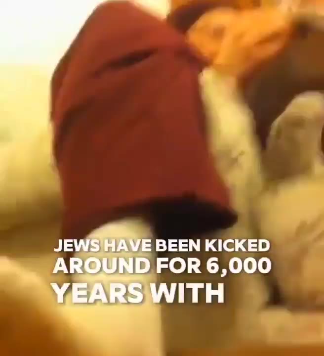 "Jews rocks" moment
