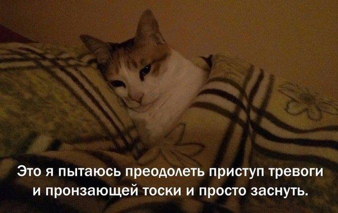 Это я пытаюсь преодолеть приступ тревоги и пронзающей тоски и просто заснуть.