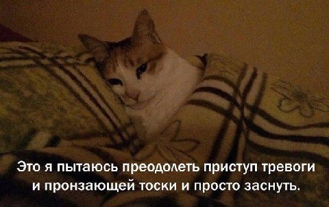 Это я пытаюсь преодолеть приступ тревоги и пронзающей тоски и просто заснуть.