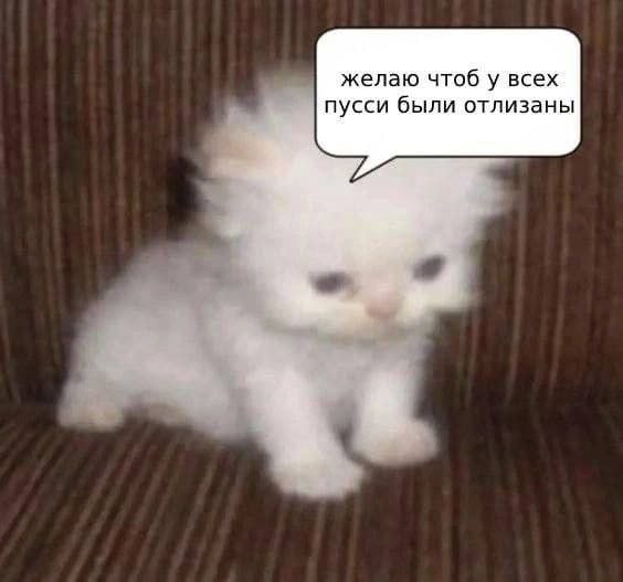 желаю чтоб у всех пусси были отлизаны