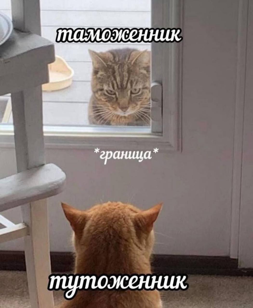 таможенник граница 5 тутоженник