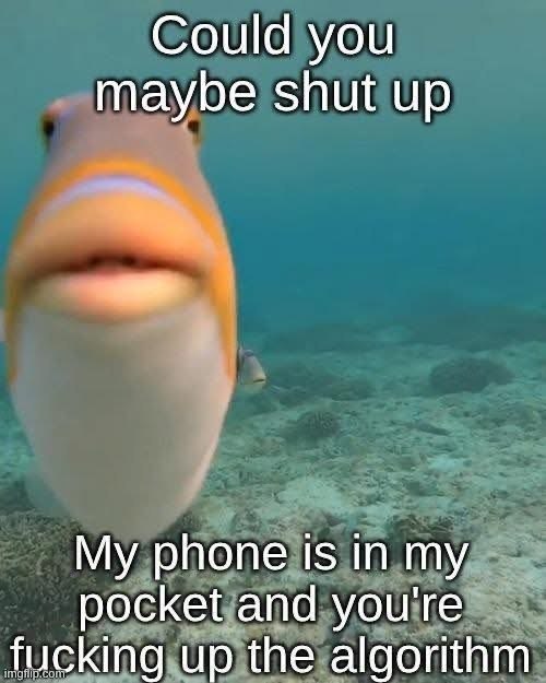 Could you maybe shut up My phone is in my pocket and you're fucking up the algorithm