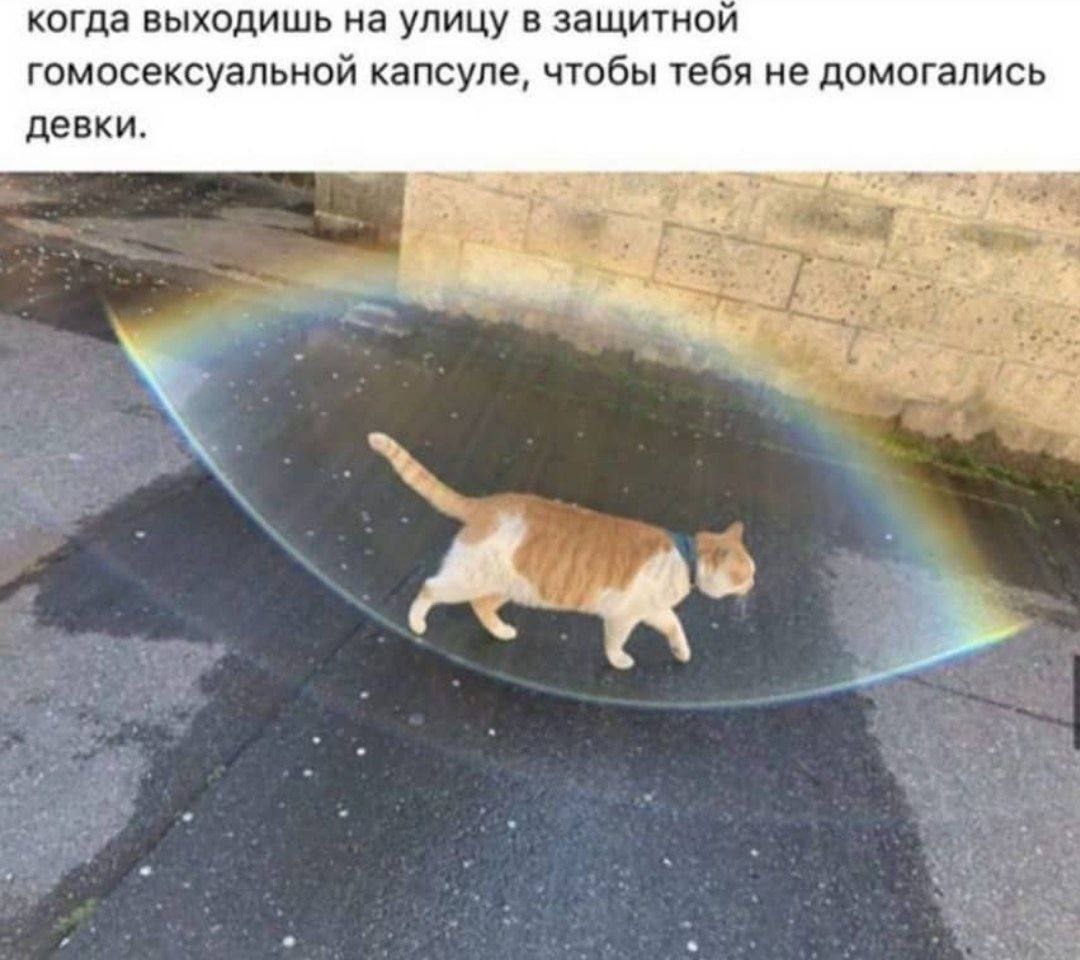 когда выходишь на улицу в защитной гомосексуальной капсуле, чтобы тебя не домогались девки.
