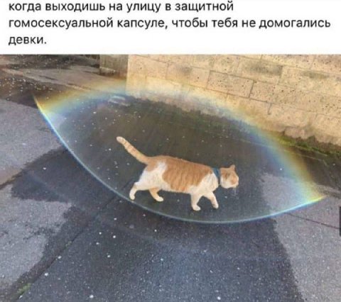 когда выходишь на улицу в защитной гомосексуальной капсуле, чтобы тебя не домогались девки.