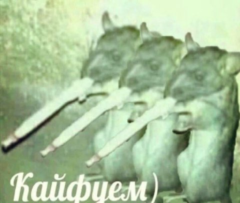 4 у