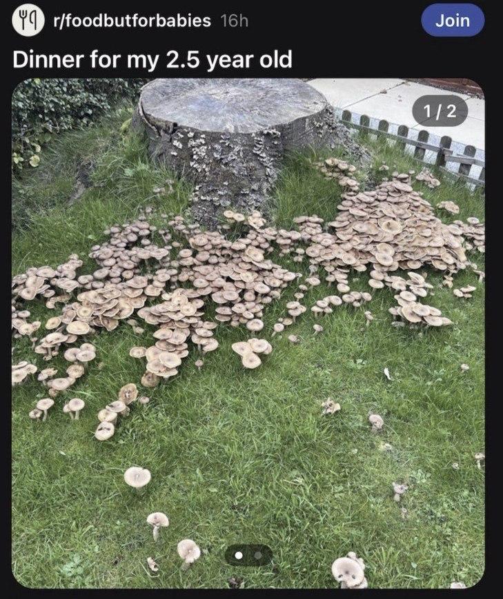 r/foodbutforbabies Join Dinner for my 2.5 year old a у i К 4 А a a и “и В.