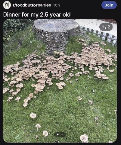 r/foodbutforbabies Join Dinner for my 2.5 year old a у i К 4 А a a и “и В.
