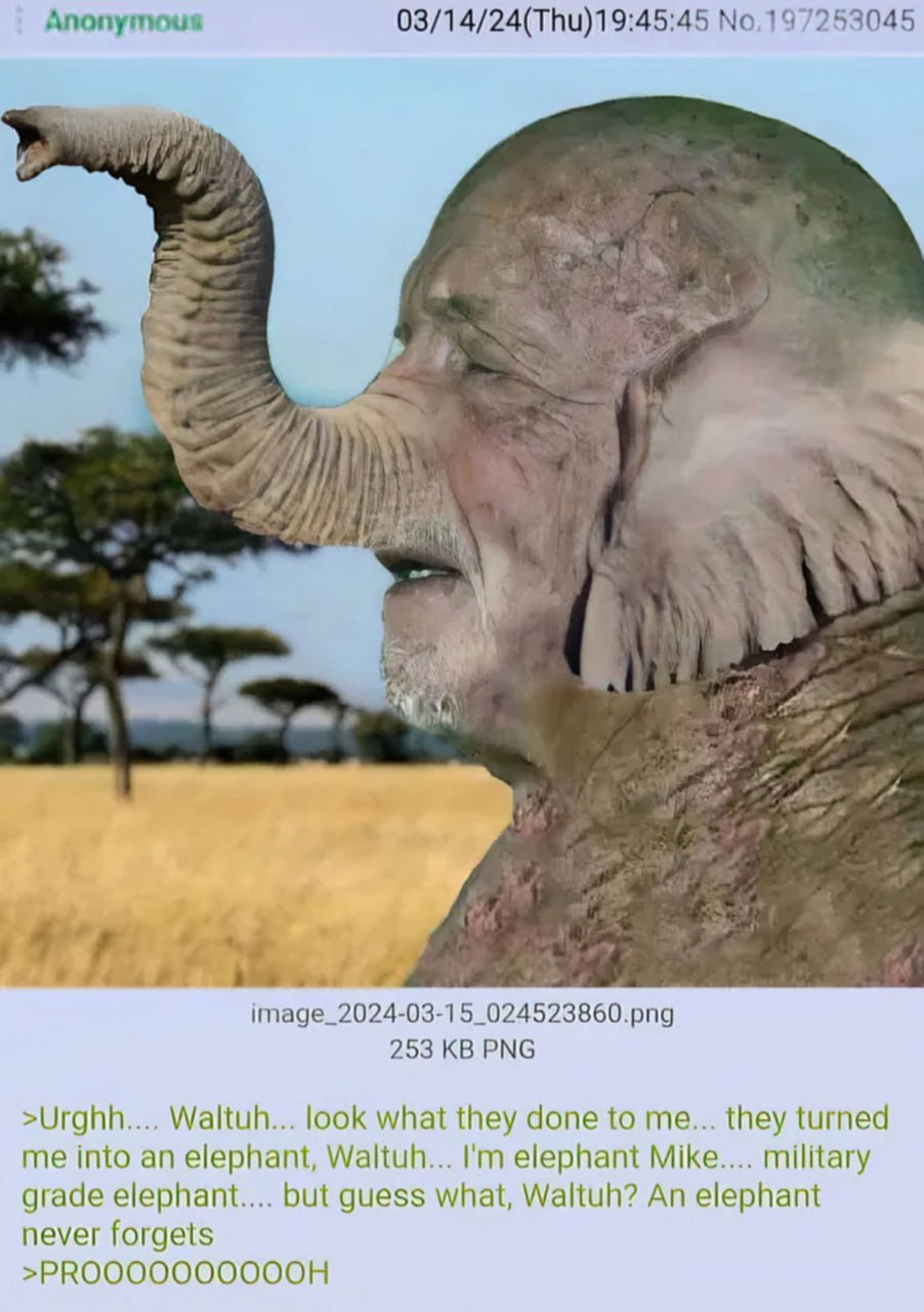 Anonymous 03/14/24(Thu)19:45:45 у А image_2024-03-15_024523860.png 253 PNG >Urghh.... Waltuh... look what they done to me... they turned me into an elephant, Waltuh... elephant Mike.... military grade