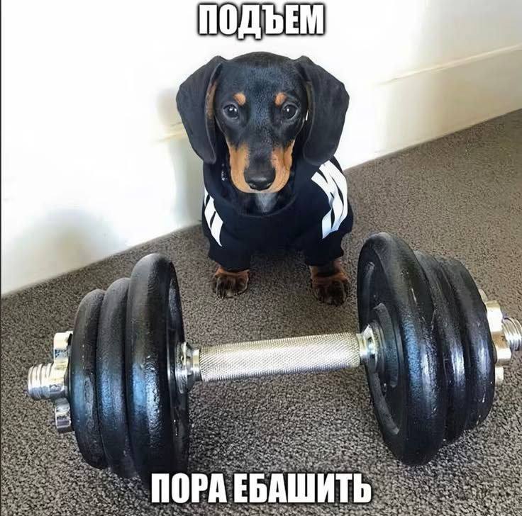 у 75 wet, 5 Sal 3% 3% ЕБАШИТЬ On