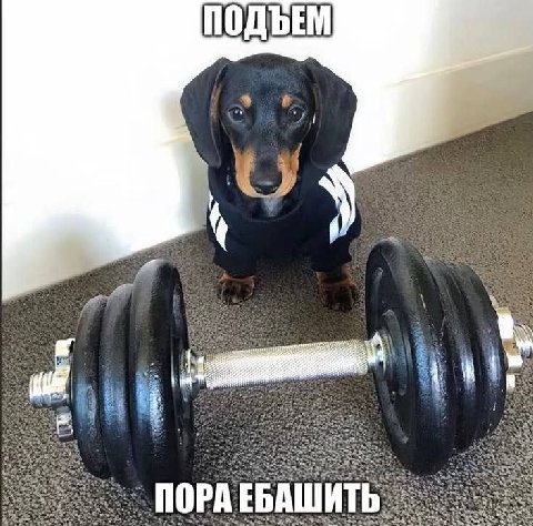 у 75 wet, 5 Sal 3% 3% ЕБАШИТЬ On