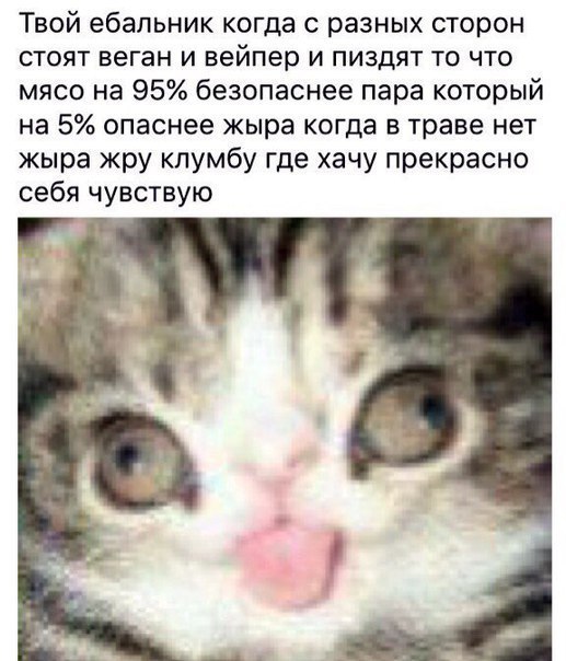 Твой ебальник когда с разных сторон стоят веган и вейпер и пиздят то что мясо на 95% безопаснее пара который на 5% опаснее жыра когда в траве нет жыра жру клумбу где хачу прекрасно себя чувствую