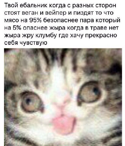 Твой ебальник когда с разных сторон стоят веган и вейпер и пиздят то что мясо на 95% безопаснее пара который на 5% опаснее жыра когда в траве нет жыра жру клумбу где хачу прекрасно себя чувствую