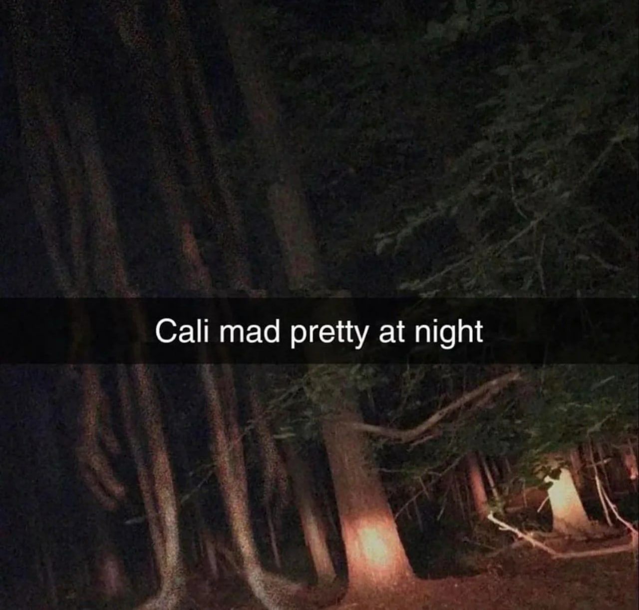 Cali mad pretty at night