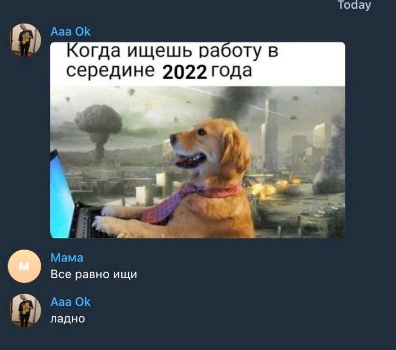 Тоаау Ааа Когда ищешь работу в середине 2022 года Мама Все равно ищи С) Ааа ладно