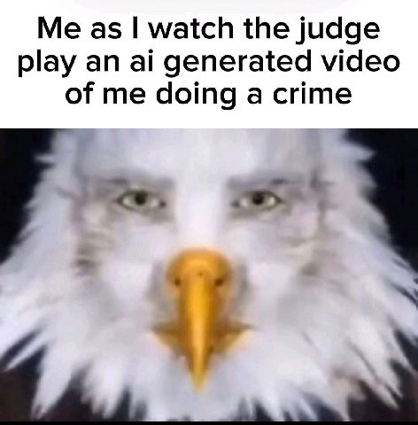 Me as watch the judge play an generated video of me doing a crime