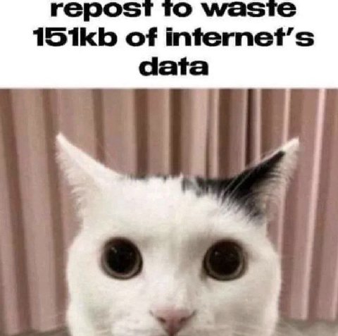 repost то waste 15tkb of internet’s data iti