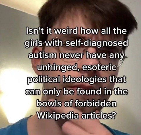 Isn’t К weird how all the girls with self-diagnosed autism never have any unhinged, esoteric political ideologies that сатоту be found inthe bowls of forbidden’ Wikipedia articles?