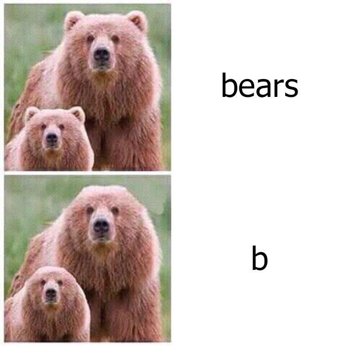 bears