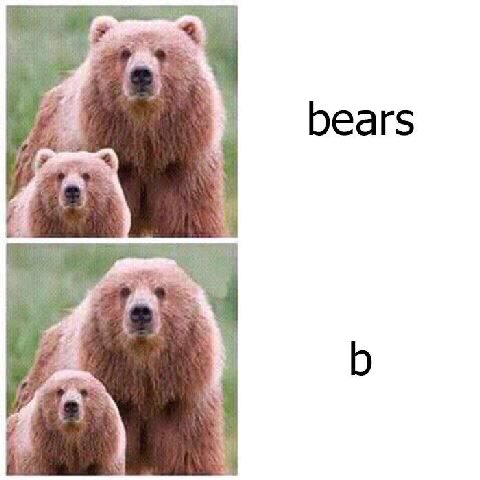 bears