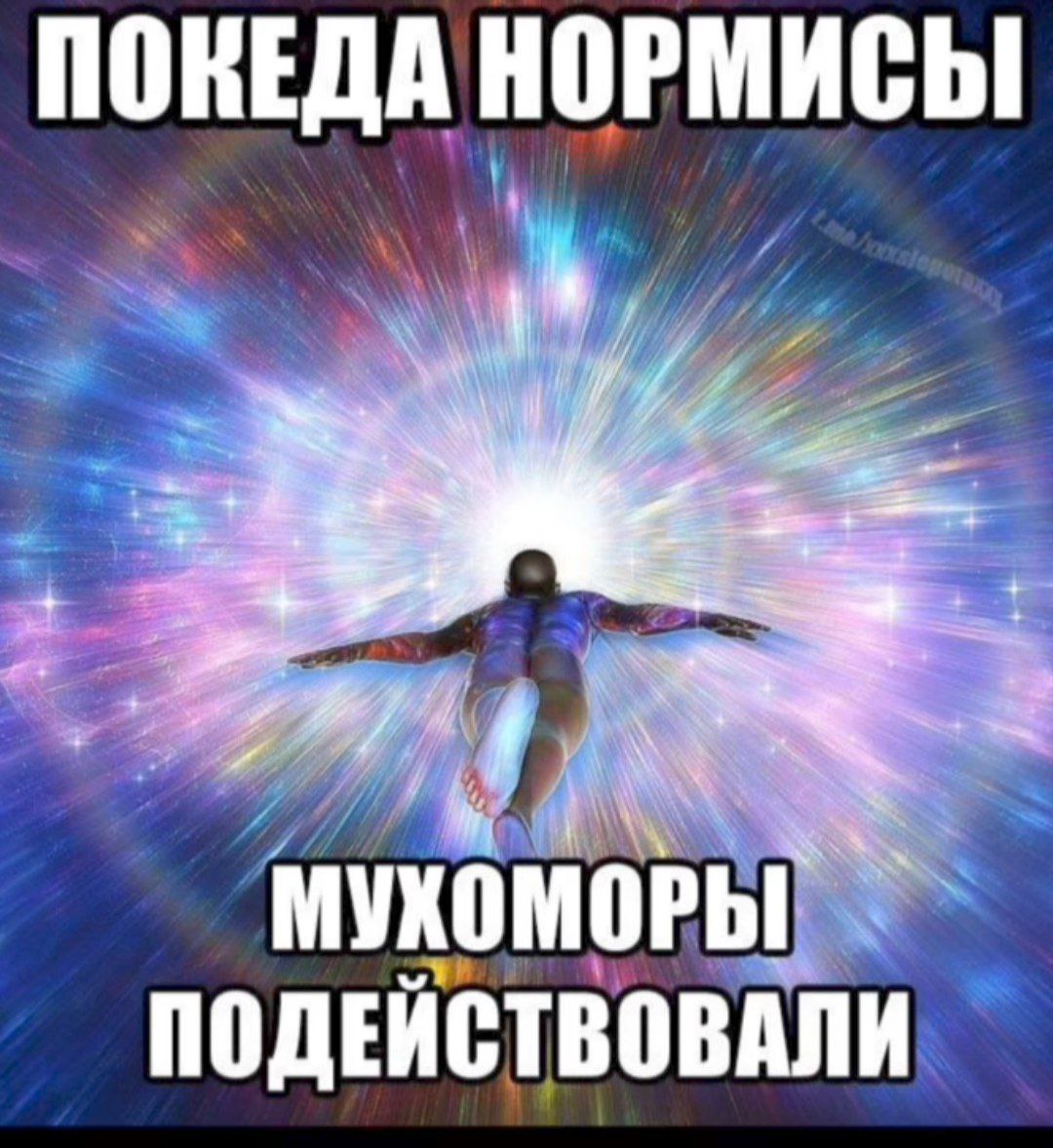 ПОКЕДА НОРМИСЫ МУХОМОРЫ ПОДЕЙСТВОВАЛИ