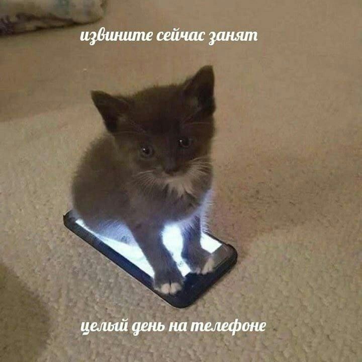 извините сейчас занят целый день на телефоне