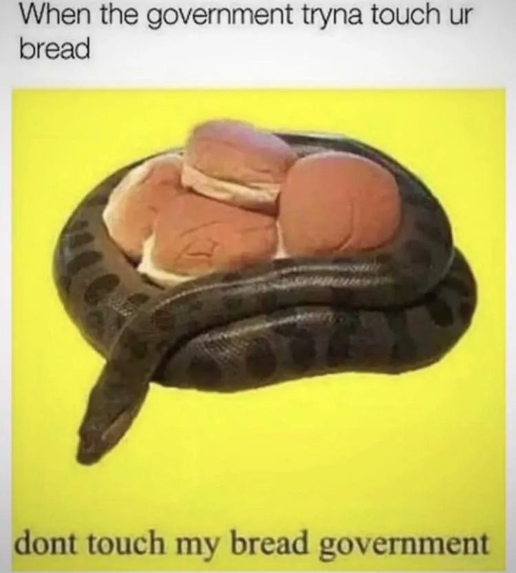 When the government tryna touch bread dont touch my bread government