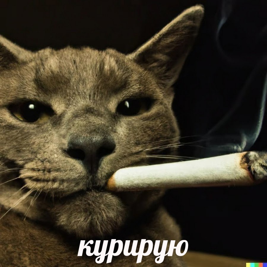 курирую