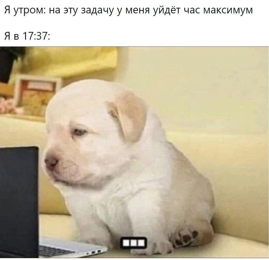 Я утром: на эту задачу у меня уйдёт час максимум 17:37: