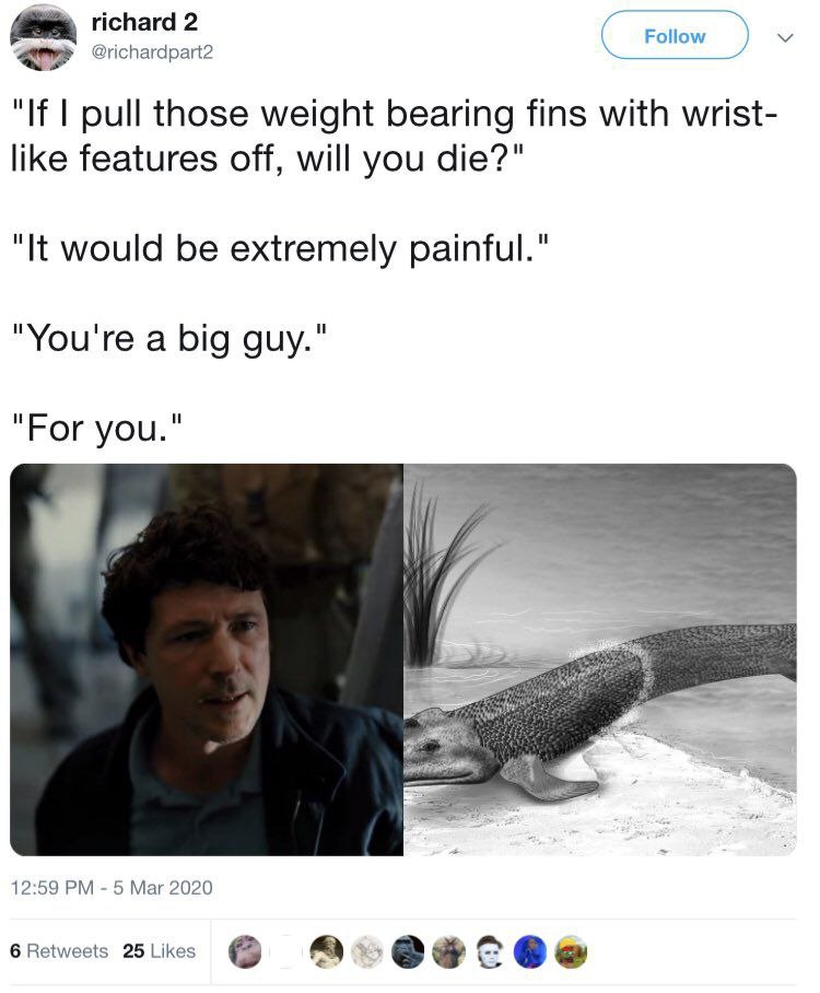 2 Follow "If pull those weight bearing fins with wrist- like features off, will you die?" "It would be extremely painful." "You're a big guy." "For you." 12:59 5 Маг 2020 6 Retweets 25 Likes