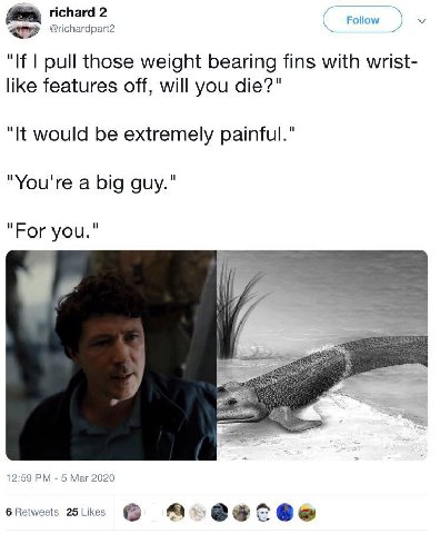 2 Follow "If pull those weight bearing fins with wrist- like features off, will you die?" "It would be extremely painful." "You're a big guy." "For you." 12:59 5 Маг 2020 6 Retweets 25 Likes