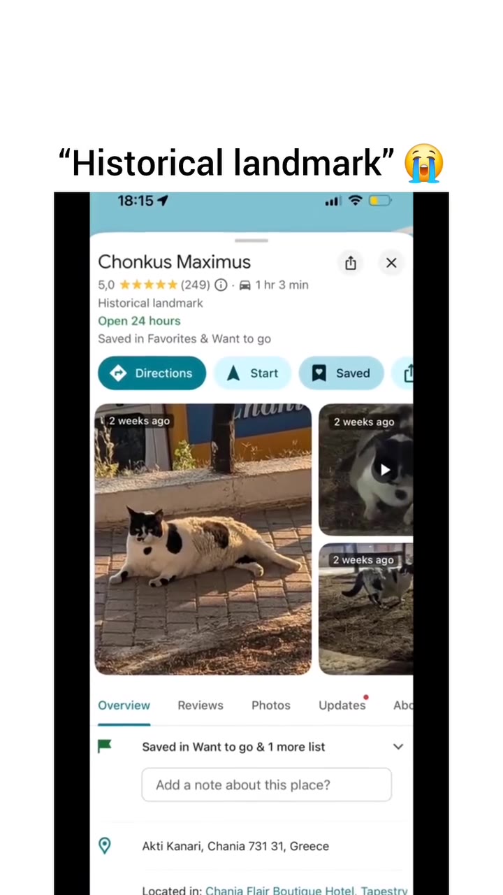 Historical landmark” (@ Chonkus Maximus hx Saved in Favorites & Want to go uf 2 weeks ago 2 weeks ago Overview Reviews Photos Updates. Abd Add a note about this place? Located in: Chania Flair Boutiqu