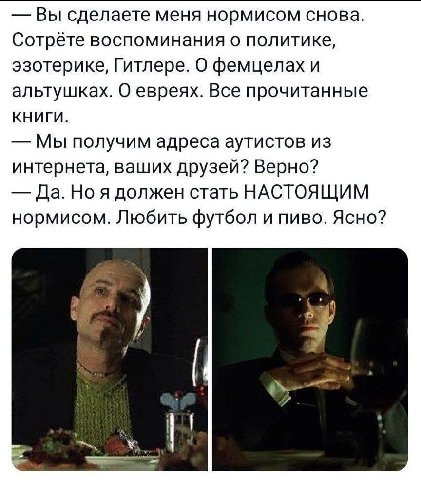 Вы сделаете меня нормисом снова. воспоминания о политике, эзотерике, Гитлере. О фемцелах и альтушках. О евреях. Все прочитанные КНИГИ. Мы получим адреса аутистов из интернета, ваших друзей? Верно? Да.