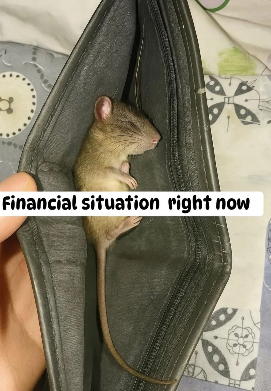Financial situation right now