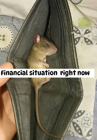 Financial situation right now