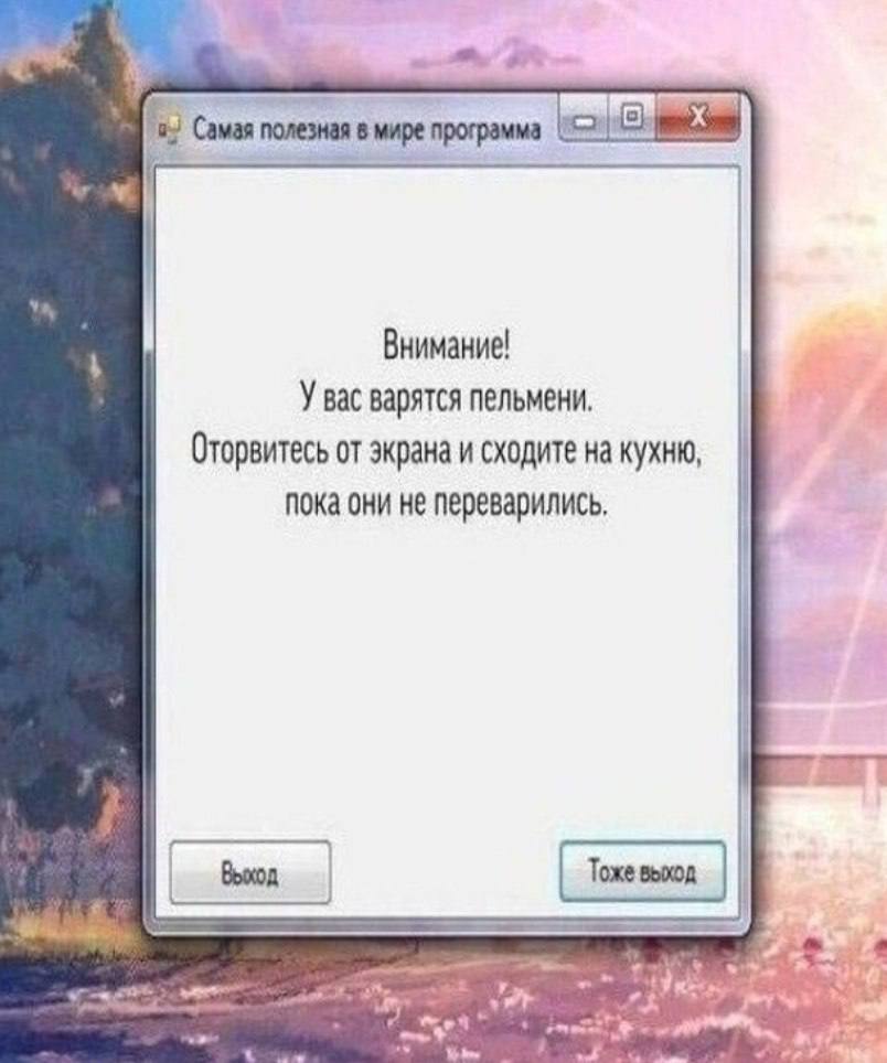 Camas полезная в мире программа Внимание! У вас варятся пельмени. Оторвитесь от экрана и сходите на кухню, пока они не переварились, Вход Тоже выход