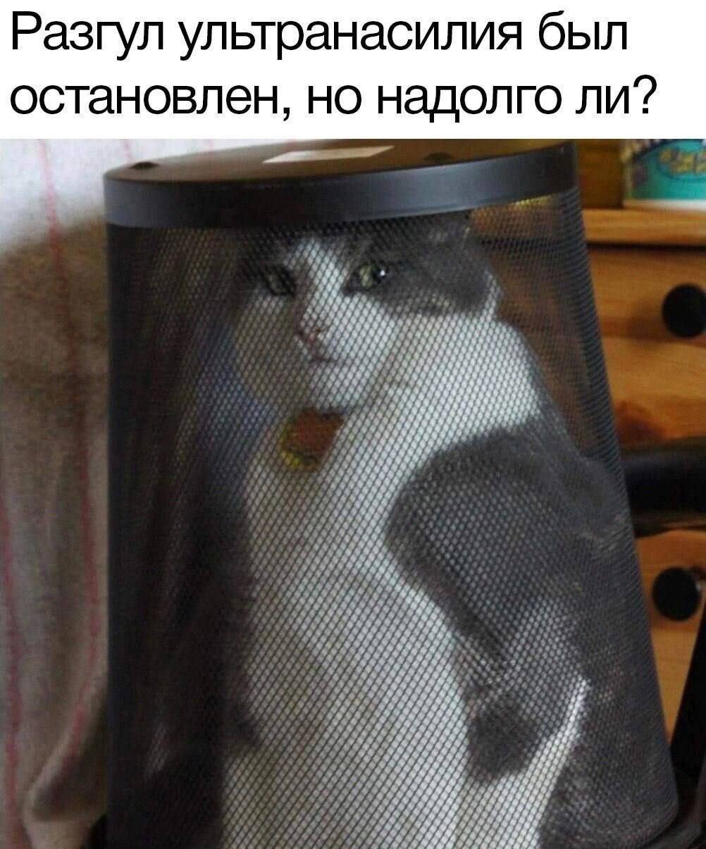 Разгул ультранасилия был остановлен, но надолго ли?