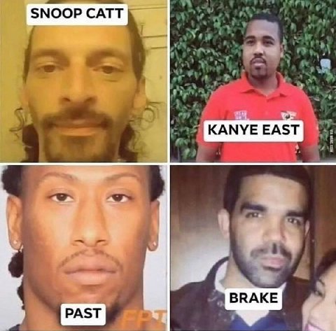 CATT EAST