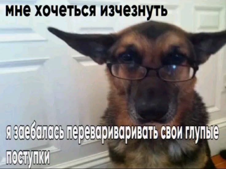 мне хочеться изчезнуть свон лупы