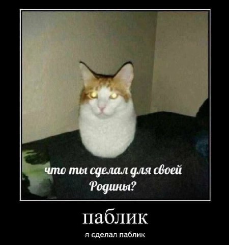 что пил сделал для своей Родины? паблик я сделал паблик