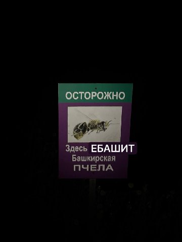 "осторожно Здесь ЕБАШИТ Башкирская ПЧЕЛА