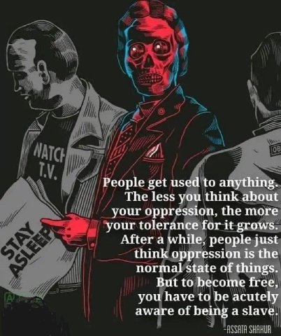 People get used to anything. The less you think about your oppression, the more your tolerance for it grows. After a while, people just think oppression is the normal state of things. But to become fr