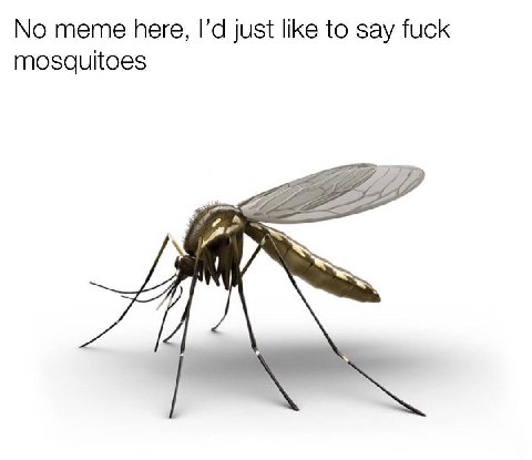 No meme here, just like to say fuck mosquitoes