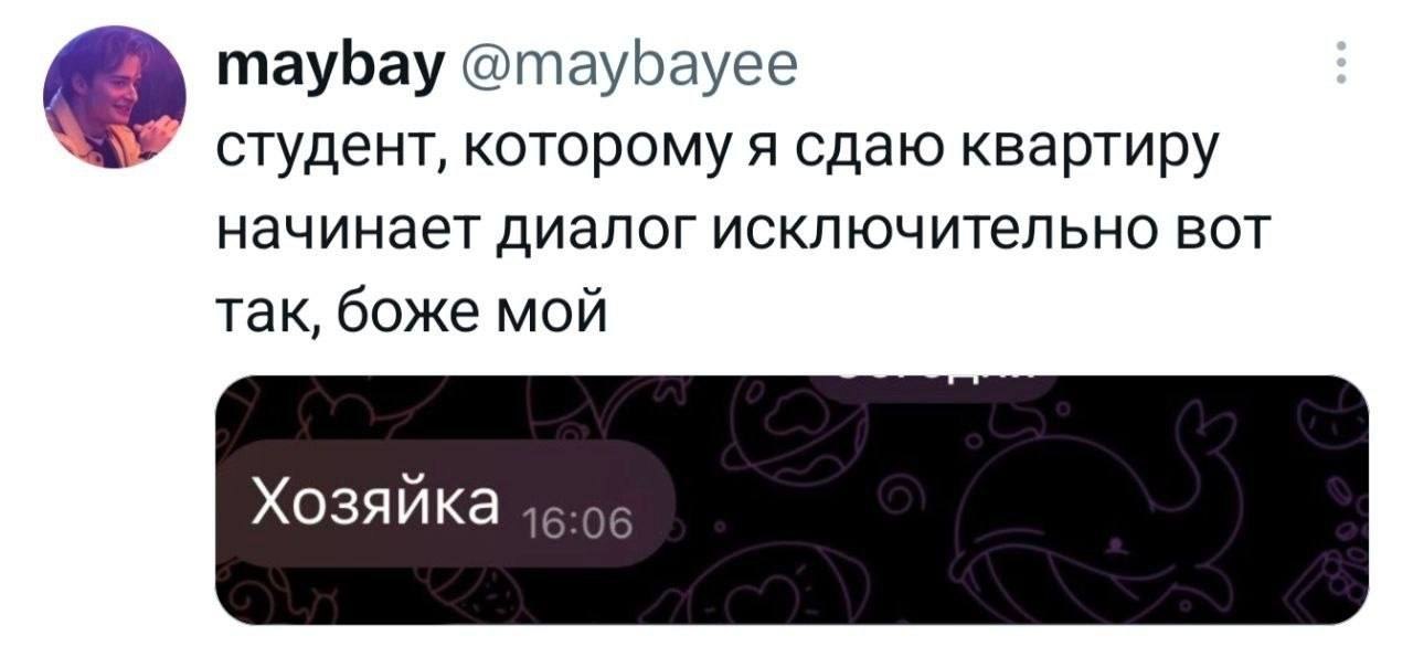 maybay @maybayee студент, которому я сдаю квартиру начинает диалог исключительно вот так, боже мой Хозяйка