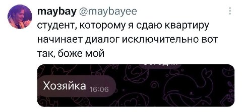 maybay @maybayee студент, которому я сдаю квартиру начинает диалог исключительно вот так, боже мой Хозяйка