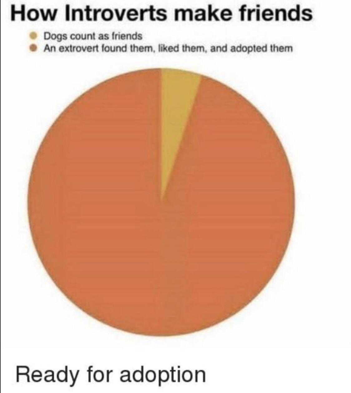How Introverts make friends An extrovert found them, liked them, and adopted them Dogs count as friends Ready for adoption
